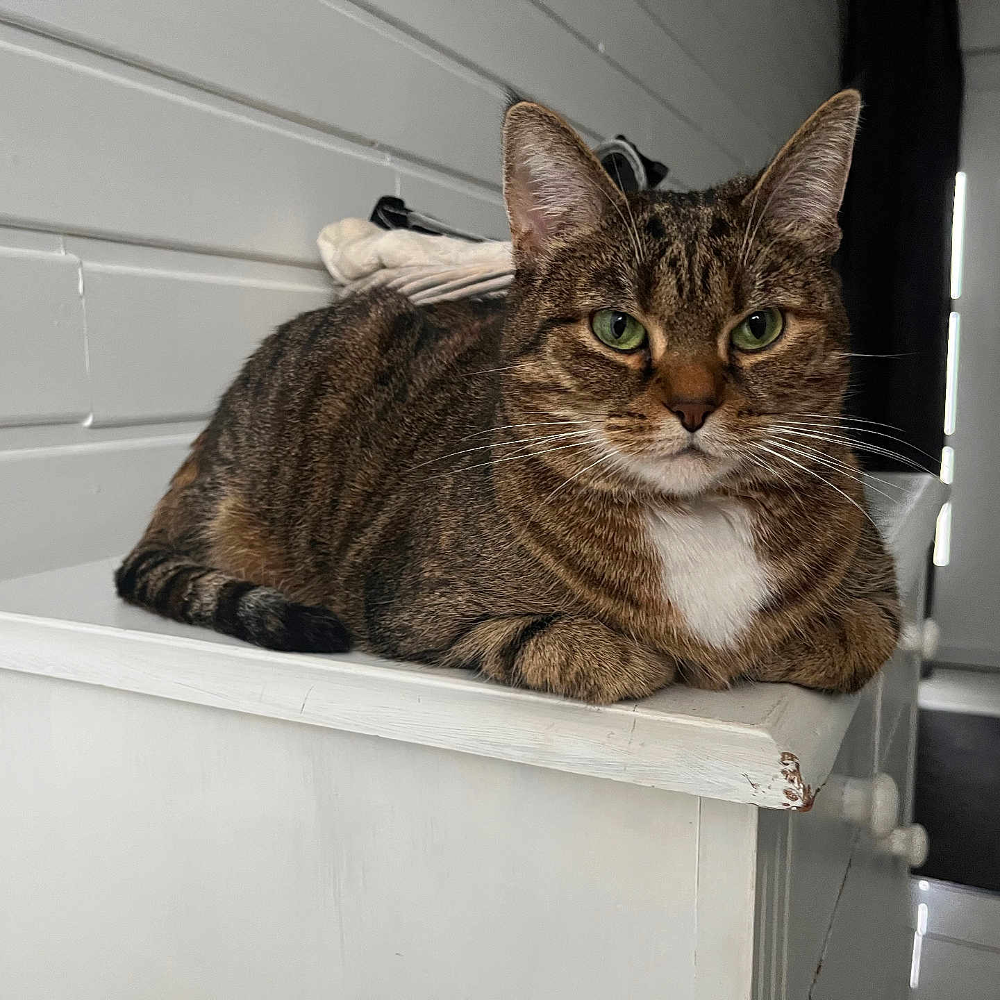 Rosie