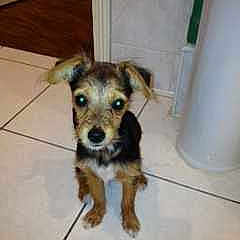 Poppy is registered to the contest to win money with this photo: