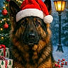 Ruby joined the competition — help win amazing prizes! german_shepherd, dog, santa_hat, christmas_tree, christmas_decorations, snow, pine_cone, christmas_baubles, gift_box, festive, holiday, winter, lamp_post, red_star, berries, outdoor, portrait, animal, cute, seasonal