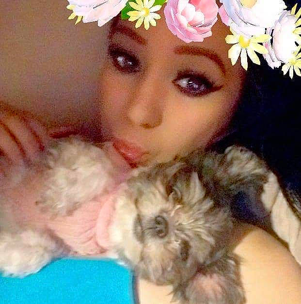 Toots is registered to the contest to win money with this photo: bolonka, canidae, carnivore, child, companion_dog, dog, dog_breed, ear, fur, headgear, maltepoo, nose, puppy, puppy_love, shih_tzu, terrier, toddler, toy_dog, yorkshire_terrier