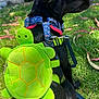 animal, black_dog, cute, daytime, dog, grass, green_backpack, harness, leaf, leash, nature, outdoor, pet_accessory, pink_bow, playful, side_profile, sitting, small_dog, sunlight, turtle_backpack