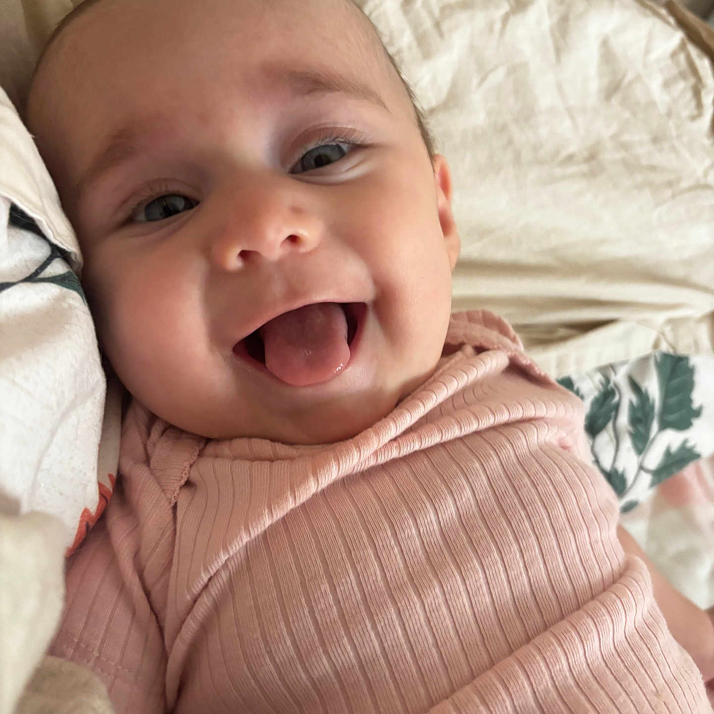 Aurelia