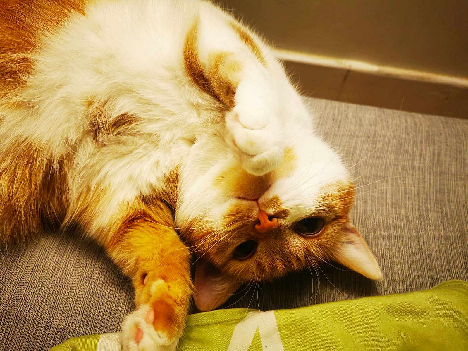 Miuki