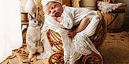 Ellya a rejoint le concours — aidez-le/la à gagner de superbes lots ! baby, newborn, rabbit, wicker_basket, lace, blanket, sleeping, nursery, vintage, wicker_wheels, barefoot, headband, bow, cozy, adorable, pet, indoor, soft_light, boho, portrait