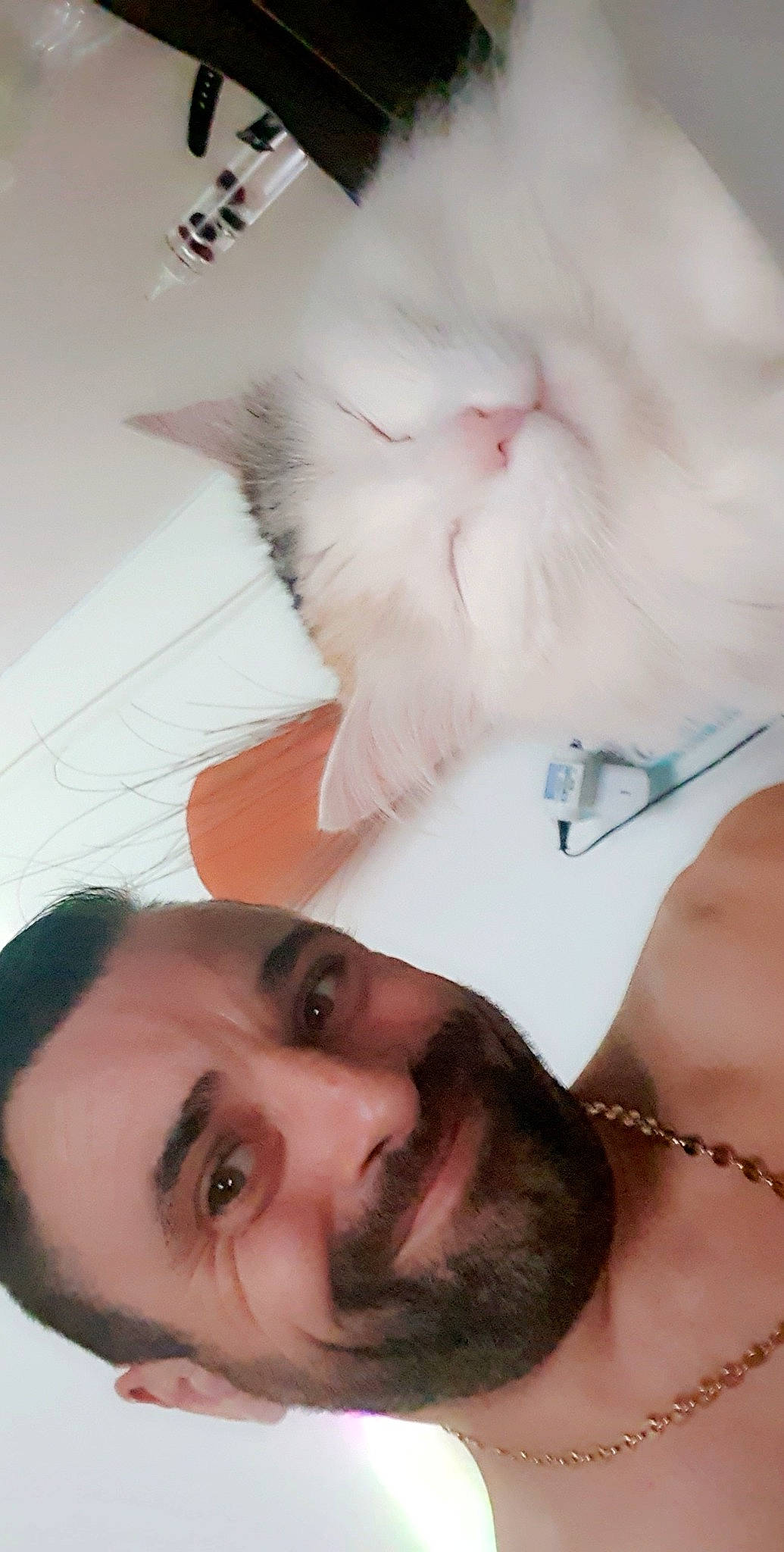 Doudoune a rejoint le concours — aidez-le/la à gagner de superbes lots ! beard, carnivore, cat, eye, eyebrow, eyelash, face, forehead, gesture, hair, jaw, mouth, muscle, neck, nose, organ, photograph, skin, sunglasses, white