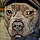 Mazie