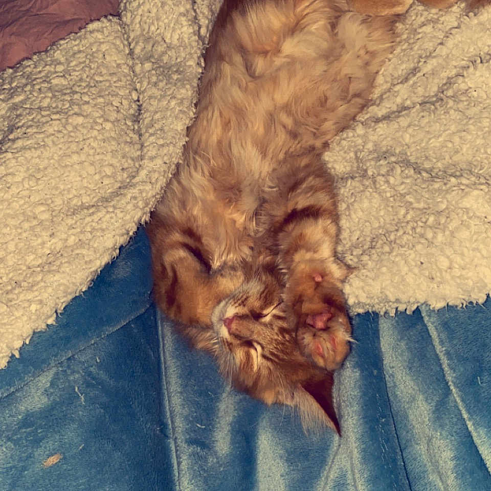 Symba