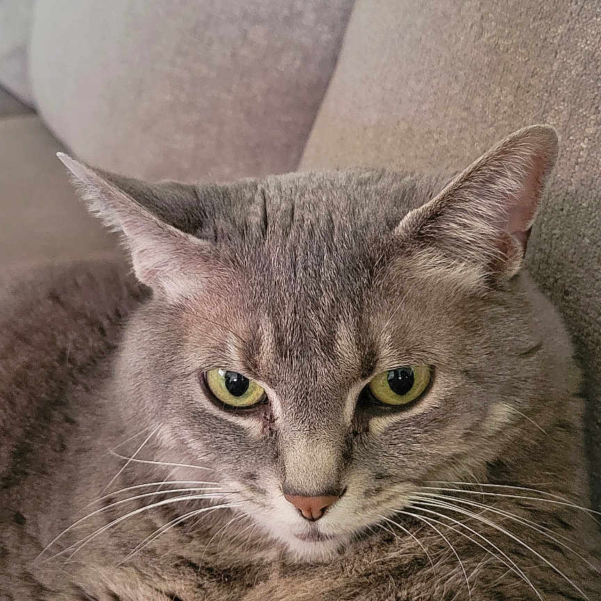 Ellie