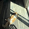 Morty is registered to the contest to win money with this photo: