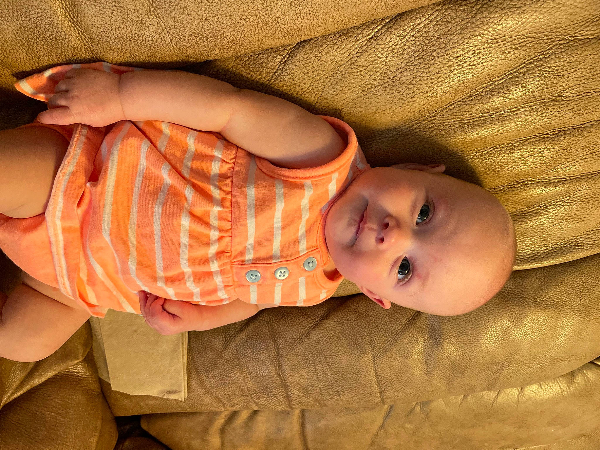 Addison joined the competition — help win amazing prizes! arm, baby, baby_products, baby_toddler_clothing, cheek, child, comfort, eye, finger, hand, human_body, iris, mammal, mouth, nose, person, skin, textile, toddler, tree