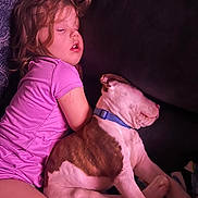 Winston joined the competition — help win amazing prizes! child, dog, sleeping, couch, indoor, portrait, pet, companion, pink_lighting, brown_and_white, collar, harness, short_hair, closed_eyes, relaxed, cuddling, sitting, home, blanket, family