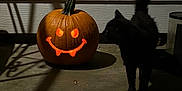 Salem is registered to the contest to win money with this photo: jack_o_lantern, pumpkin, black_cat, cat, dark, shadow, porch, halloween, glowing, night, animal, curious, mischievous, smile, outdoor, concrete_floor, tail, feline, spooky, decor