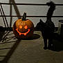 jack_o_lantern, pumpkin, black_cat, cat, dark, shadow, porch, halloween, glowing, night, animal, curious, mischievous, smile, outdoor, concrete_floor, tail, feline, spooky, decor