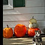 cat, tabby_cat, pumpkin, stacked_pumpkins, porch, concrete, fall, autumn, sunlight, shadow, window, green_shutter, white_siding, outdoor, animal, pet, cute, seasonal, nature, still_life
