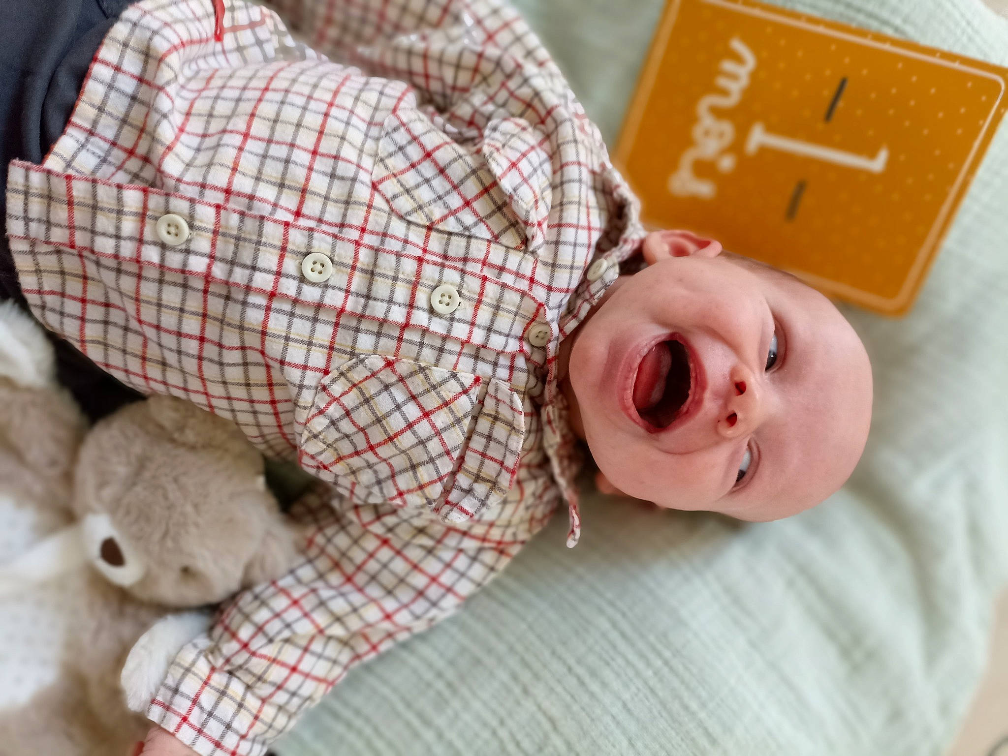 Tino a rejoint le concours — aidez-le/la à gagner de superbes lots ! baby, baby_toddler_clothing, bed, comfort, fawn, happy, linens, mammal, nose, person, product, rabbit, skin, sleeve, smile, tartan, textile, toddler, toy, vertebrate