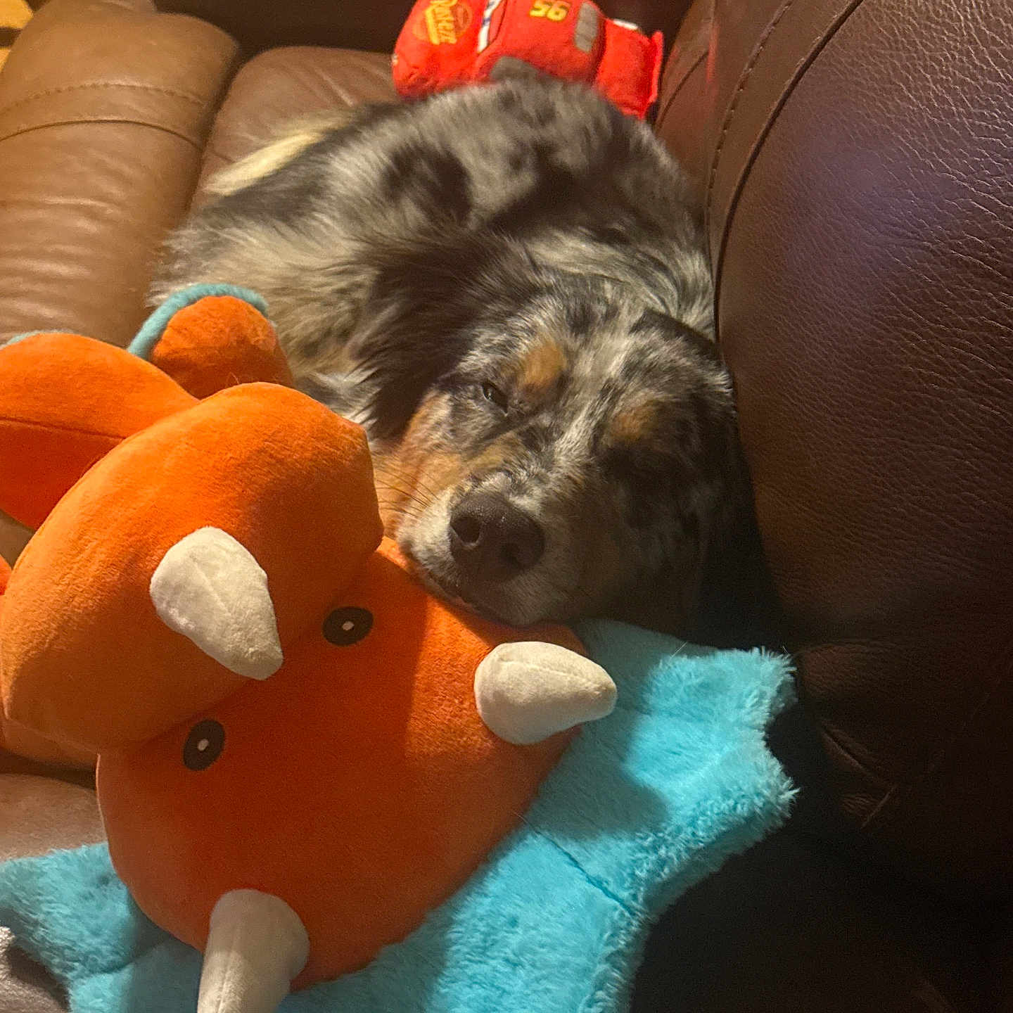 Max