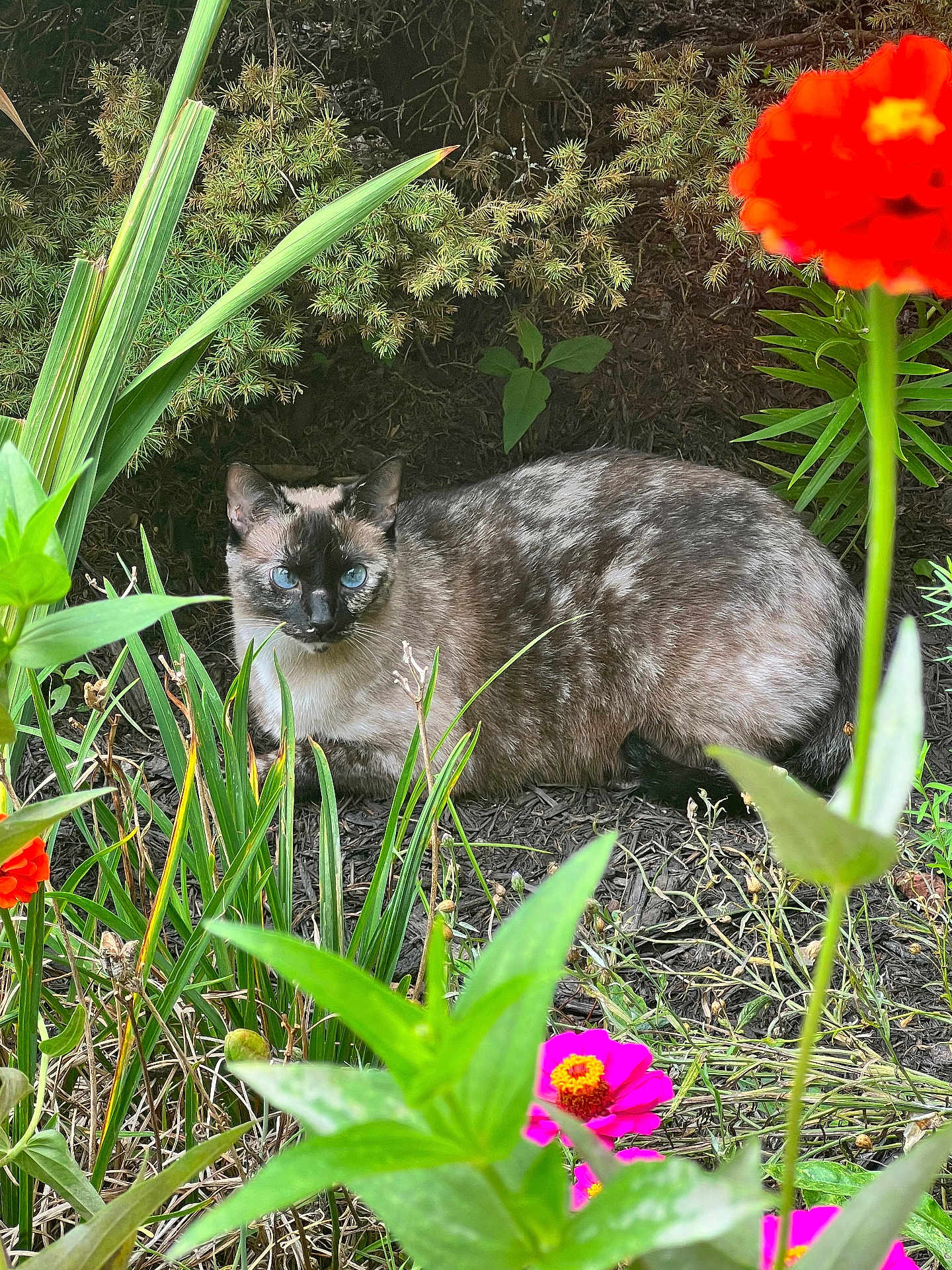 Luna