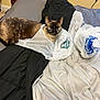 Luna is registered to the contest to win money with this photo: cat, siamese, plastic_bag, bed, blanket, indoor, pet, fur, curious, animal, resting, feline, domestic, cozy, alert, black, brown, white, sleeping_area, home