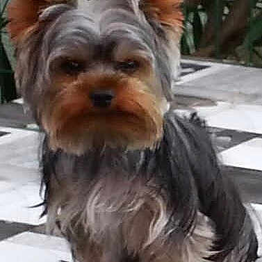 Pablo