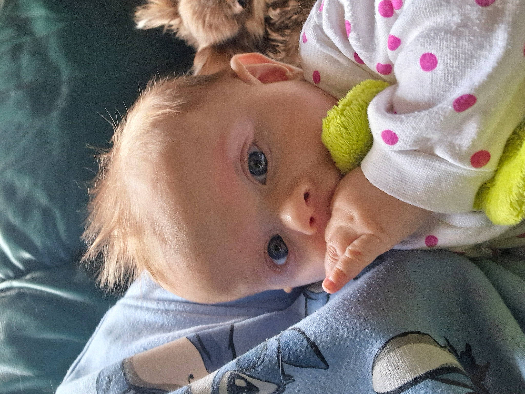 Gabriel a rejoint le concours — aidez-le/la à gagner de superbes lots ! baby, baby_toddler_clothing, cheek, child, chin, close_up, cool, eyebrow, eyelash, face, happy, human_body, iris, lip, mouth, nose, person, plant, skin, toddler