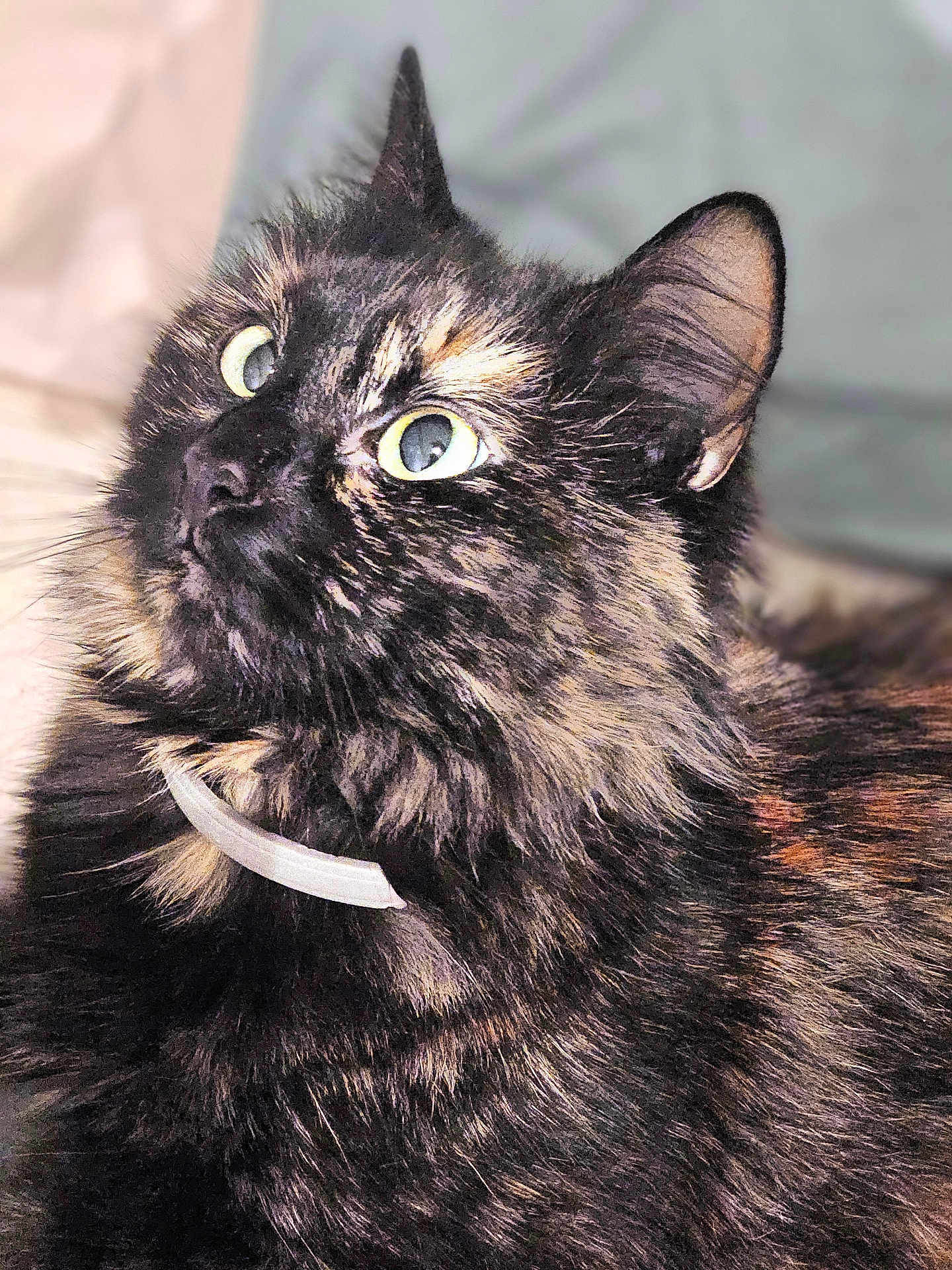 Mia