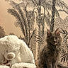 kitten, cat, stuffed_animal, plush, toy, brown, gray, furry, sitting, indoor, decor, wallpaper, palm_tree, plant, furniture, soft, cute, animal, pet, curious