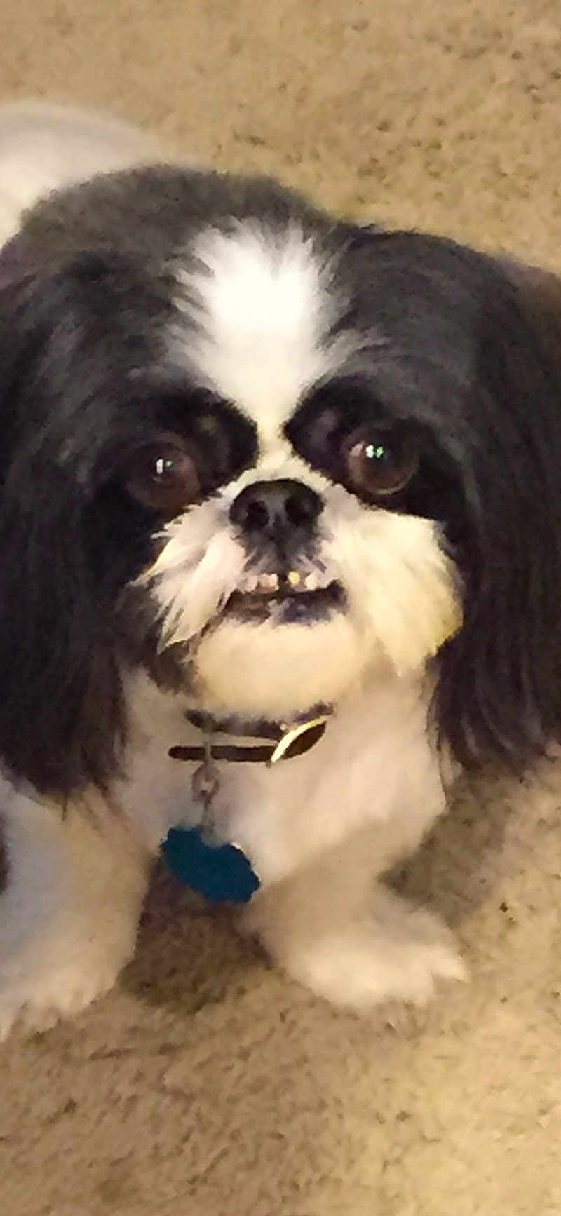 Ted