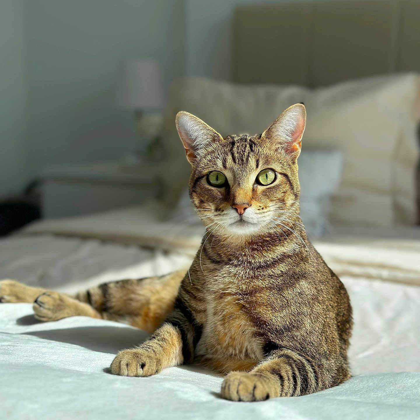 Benito