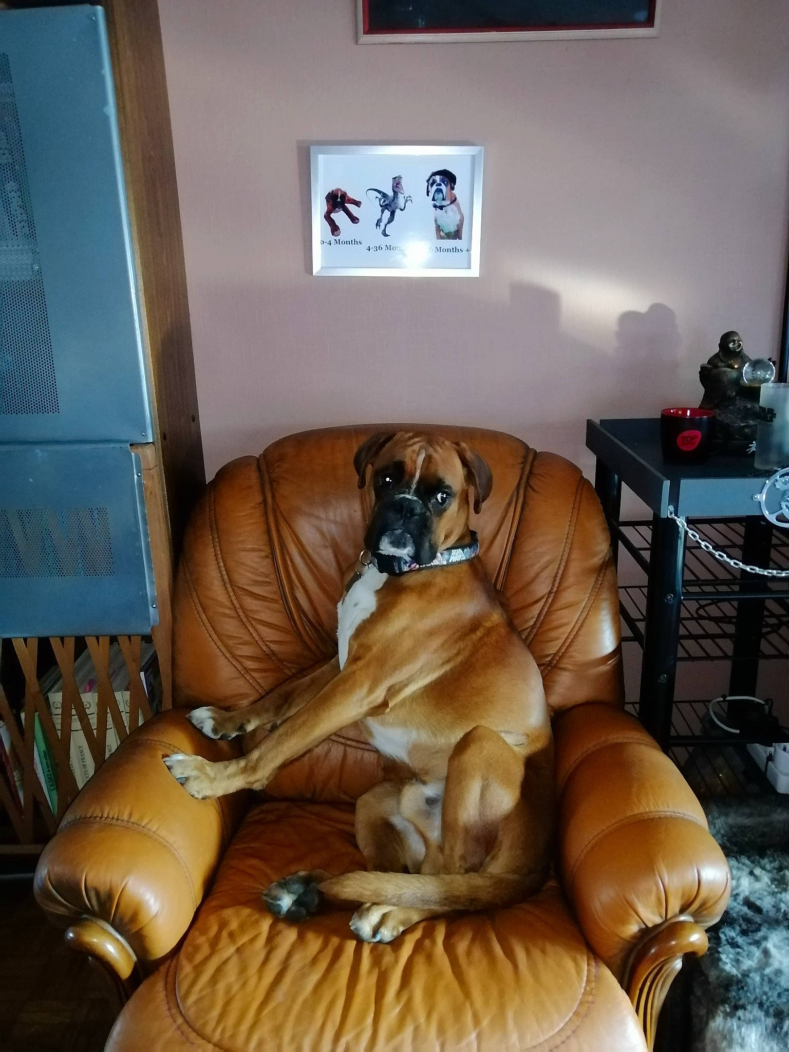 Yoda