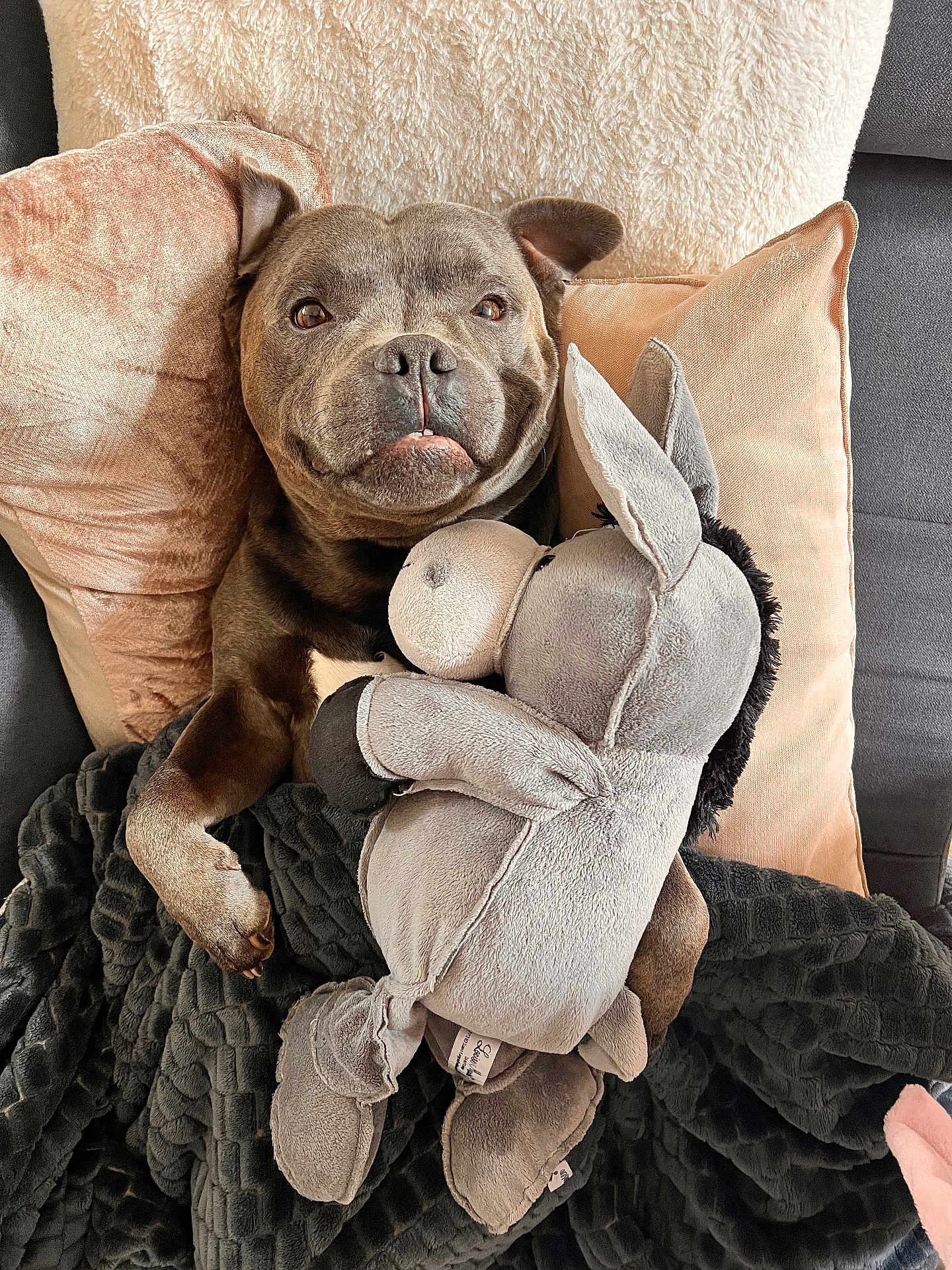 Oscar