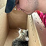 Tuna joined the competition — help win amazing prizes! man, cat, cardboard_box, cap, tabby_cat, close_up, indoor, pet, animal, human, face, whiskers, curious, intimacy, side_profile, young_adult, stubble, clothing, ventilation_holes, interaction