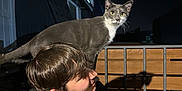 Green Bean joined the competition — help win amazing prizes! animal, black_tshirt, casual, cat, dark_background, fence, gray_cat, hair, head, light, looking, night, outdoor, person, pet, playful, shadow, side_view, sitting, young_man