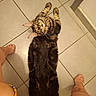 Baloo a rejoint le concours — aidez-le/la à gagner de superbes lots ! cat, tabby_cat, kitten, fluffy, fur, striped, lying_down, on_back, green_eyes, whiskers, ears, paws, indoor, tile_floor, bathroom, home, pet, animal, portrait, playful