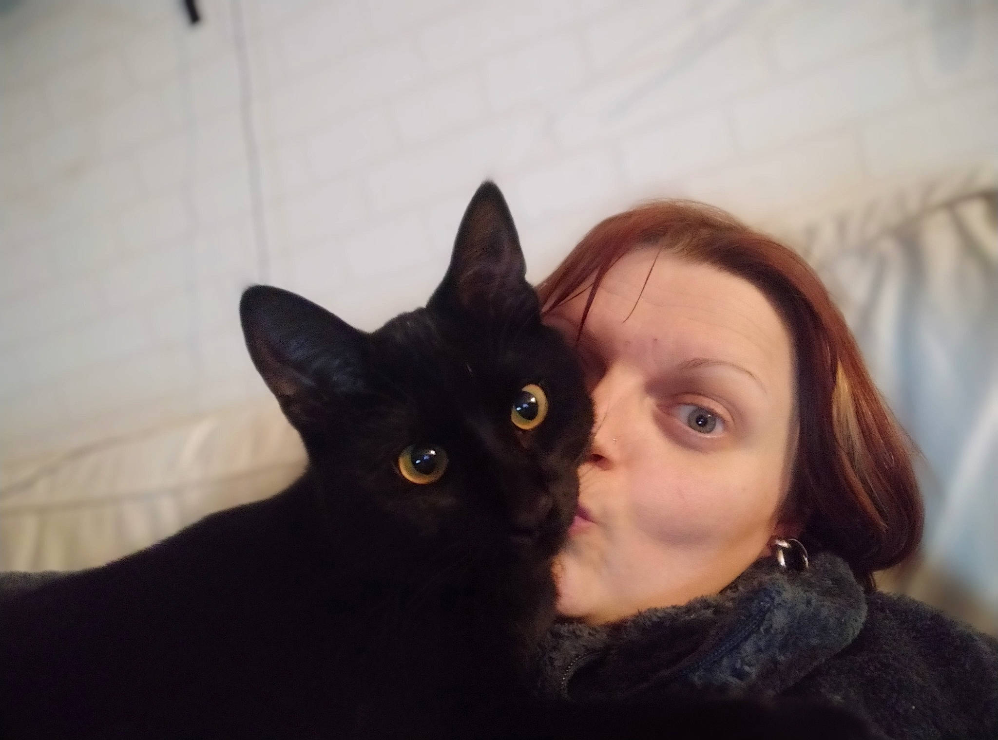 Lucky a rejoint le concours — aidez-le/la à gagner de superbes lots ! black_cat, bombay, carnivore, cat, cheek, comfort, domestic_short_haired_cat, ear, eyelash, felidae, formal_wear, fur, gesture, hair, happy, iris, nose, sitting, small_to_medium_sized_cats, whiskers