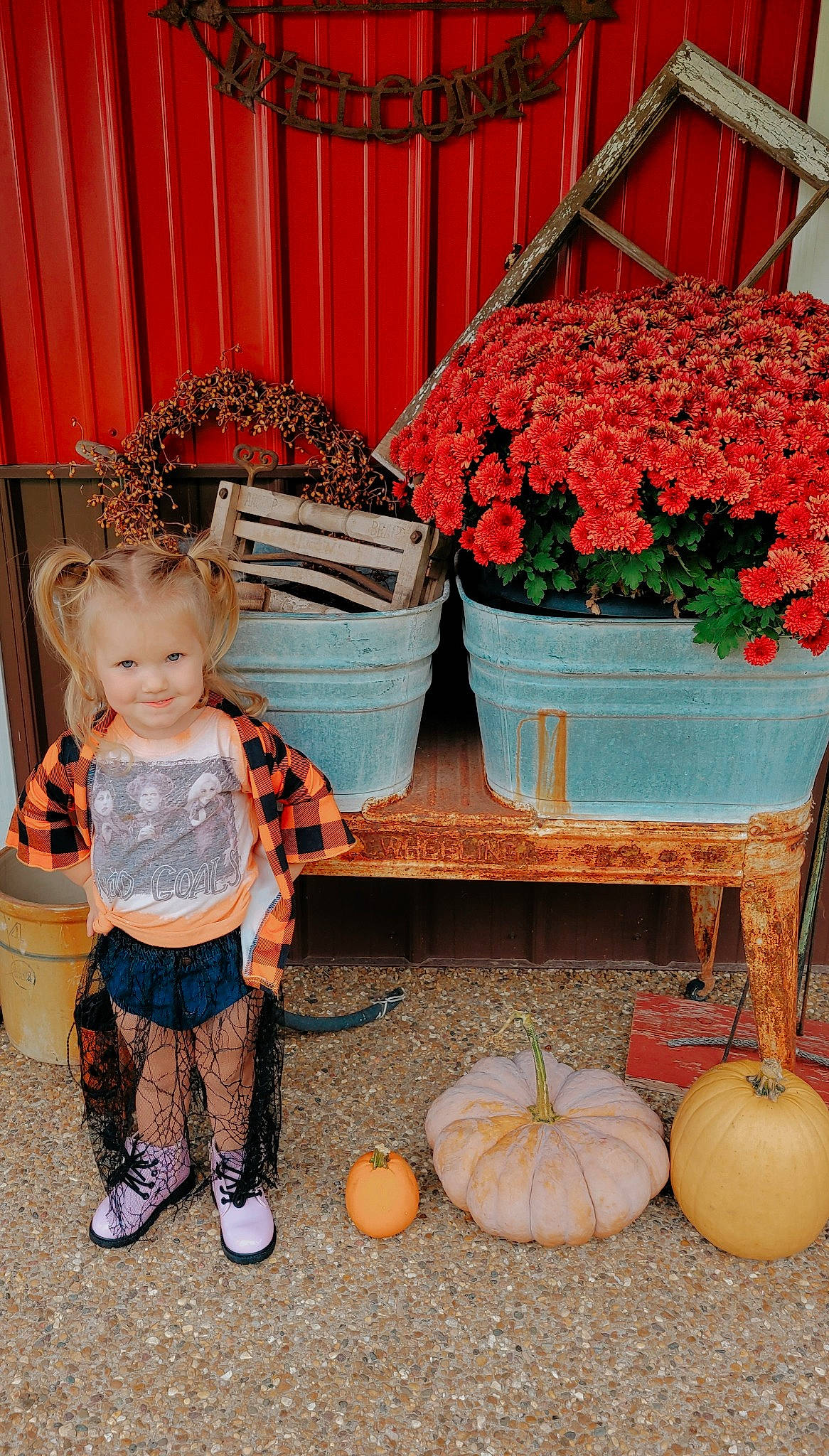 Nalani is registered to the contest to win money with this photo: baby, baby_toddler_clothing, calabaza, cucurbita, curtain, flower, flower_arranging, flowerpot, gourd, houseplant, joy, natural_foods, orange, person, petal, plant, pumpkin, squash, toddler, vegetable
