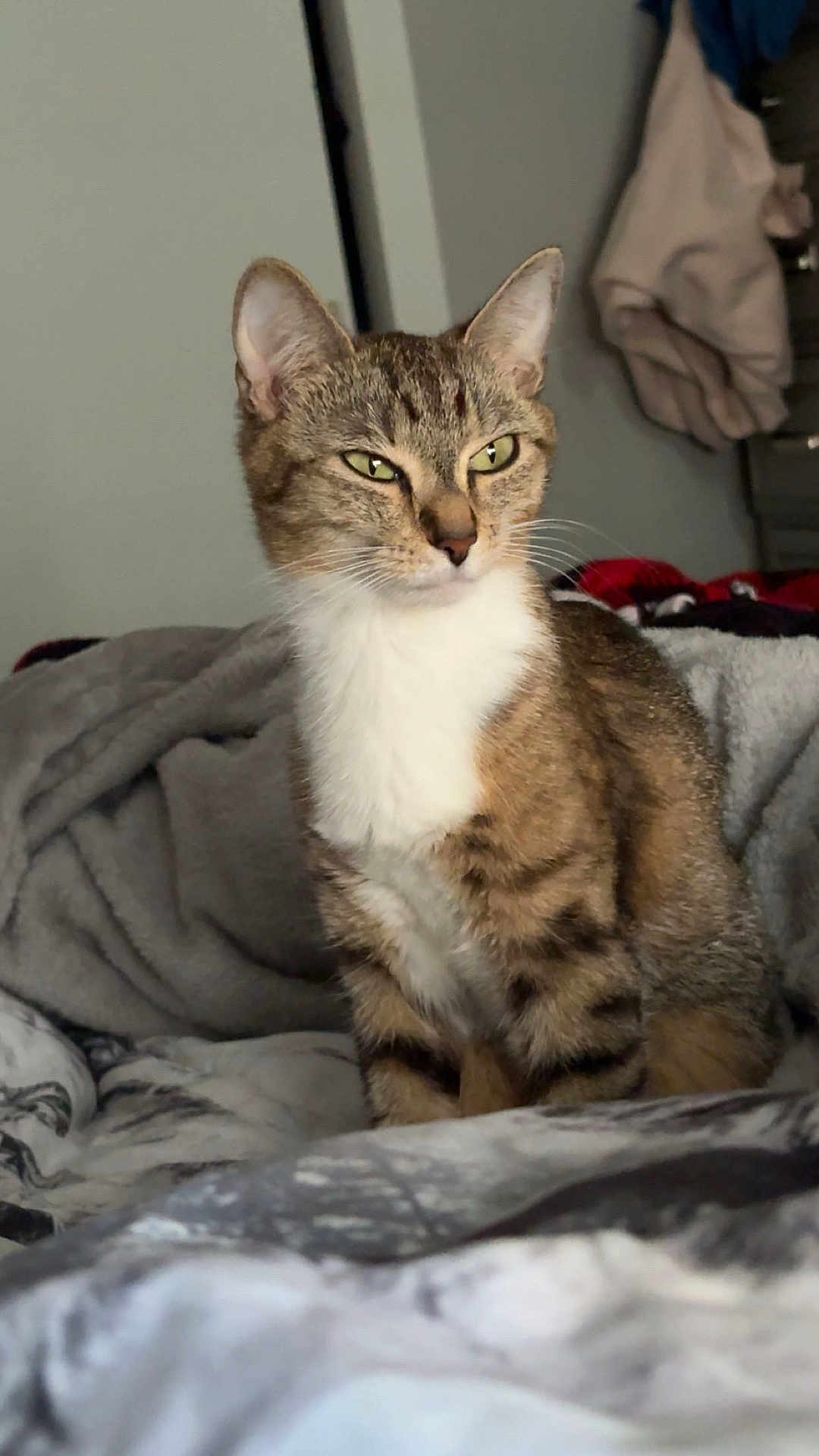 Peanut