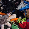 puppy, dog, toy, plush, carrot, octopus, bear, colorful, cute, pet, animal, indoor, cozy, soft, black_and_white, small, lying_down, playful, stuffed_animal, fabric