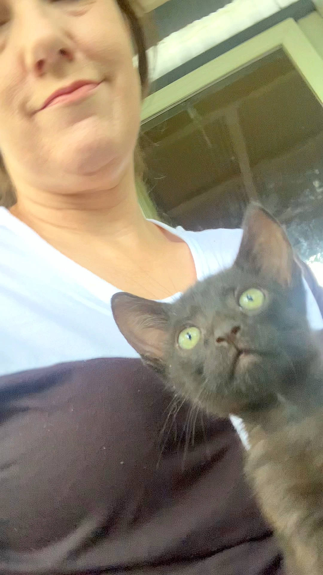 Smalls is registered to the contest to win money with this photo: carnivore, cat, chest, domestic_short_haired_cat, ear, eyelash, eyewear, felidae, fur, gesture, happy, selfie, small_to_medium_sized_cats, snout, whiskers