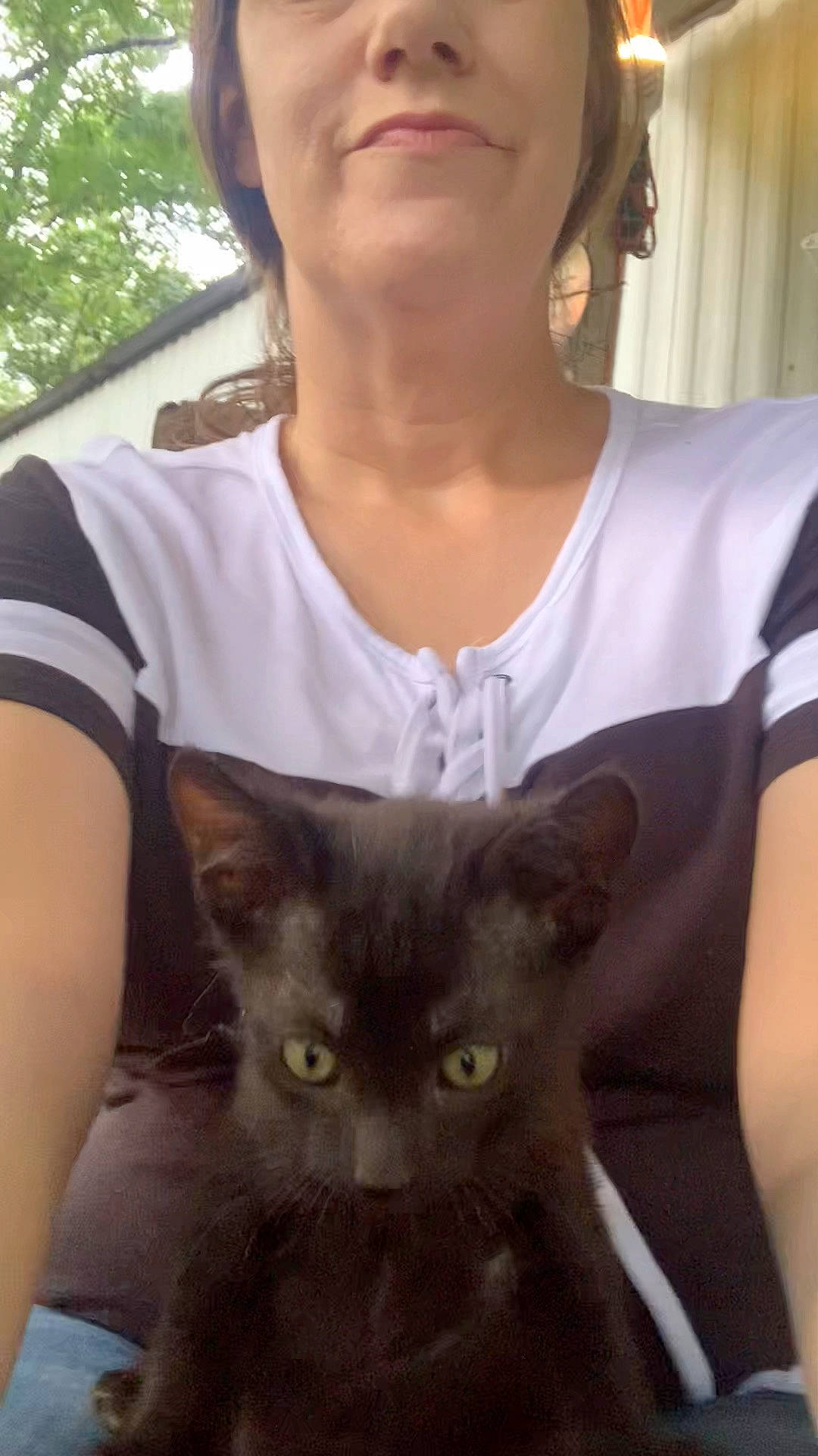 Smalls joined the competition — help win amazing prizes! beard, carnivore, cat, chest, curtain, domestic_short_haired_cat, eyewear, fawn, felidae, fur, iris, moustache, organ, selfie, small_to_medium_sized_cats, snout, sunglasses, t_shirt, tree, whiskers