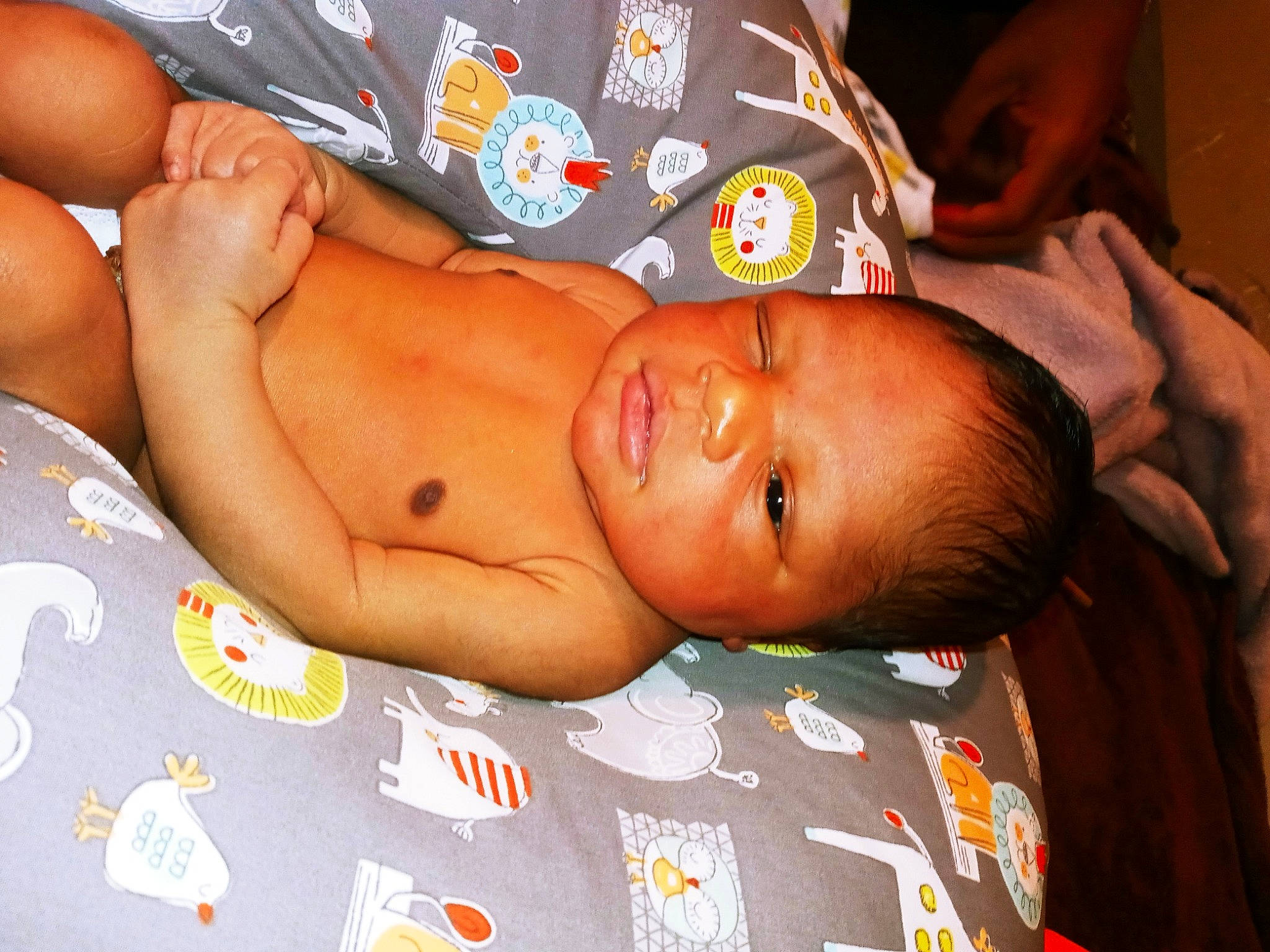 Julius is registered to the contest to win money with this photo: baby, birth, cheek, child, ear, head, muscle, neck, person, skin, toddler