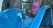 Tanylah joined the competition — help win amazing prizes! child, water_slide, playground, water, splash, pink_swimsuit, smiling, happy, outdoor, summer, fun, play, tree, wood, netting, blue_slide, person, active, recreation, sunny