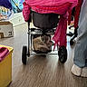 cat, siamese_cat, stroller, storage_basket, fabric, pink_cloth, floor, wood_floor, person, jeans, socks, indoor, box, wheels, clothing, colorful, relaxing, pet, home, cozy