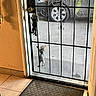 Dino And Tonchi is registered to the contest to win money with this photo: kitten, door, screen_door, climbing, car, concrete, mat, tile_floor, keys, keychain, wall, indoors, outdoors, metal_bars, pets, curiosity, small_animals, home, shadow, light