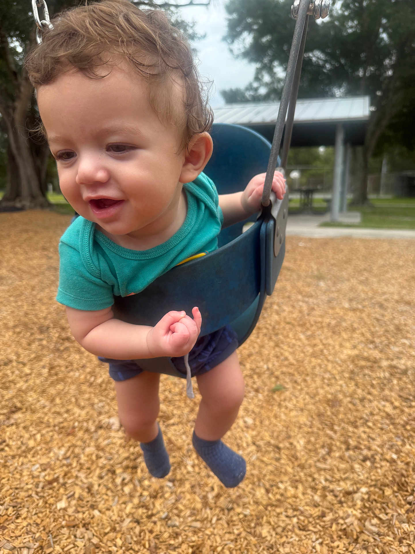 Leonardo is registered to the contest to win money with this photo: toddler, child, swing, playground, outdoor, park, curly_hair, happy, smiling, blue_shirt, shorts, socks, wood_chips, daylight, trees, metal, play_equipment, person, fun, active