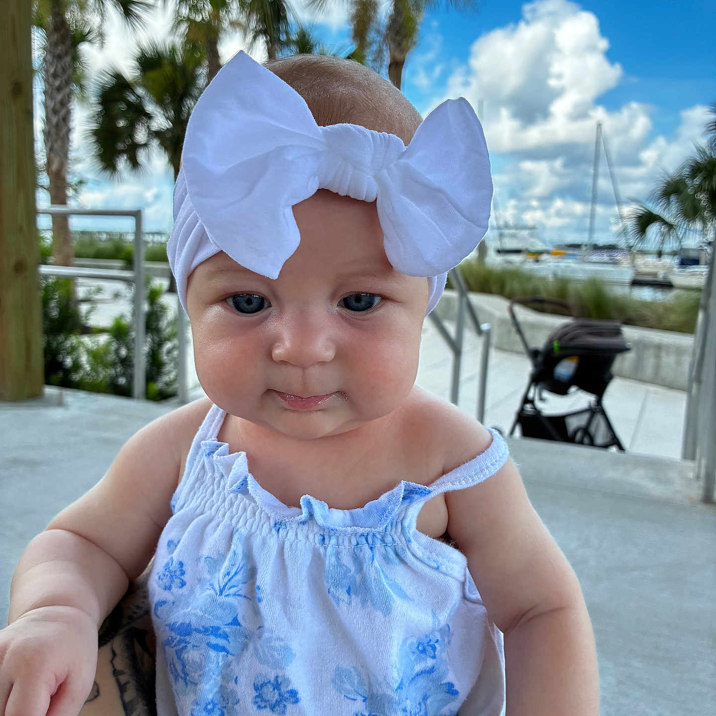 Amelia