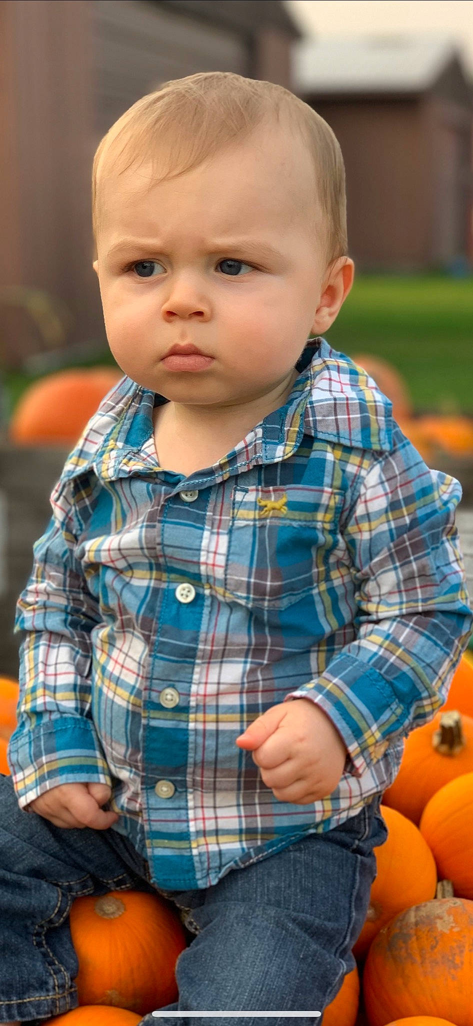 Brody joined the competition — help win amazing prizes! baby, cheek, child, child_model, chin, design, face, head, nose, pattern, person, plaid, sitting, skin, tartan, textile, toddler