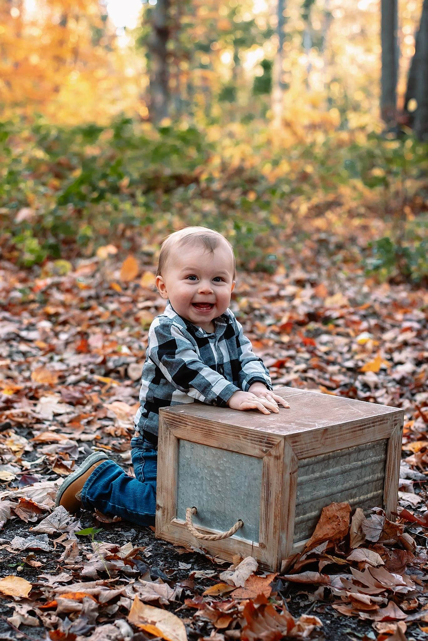 Brody is registered to the contest to win money with this photo: autumn, baby, child, joy, leaf, people_in_nature, person, photograph, photography, plant, portrait_photography, sitting, state_park, toddler, tree, wood, woodland