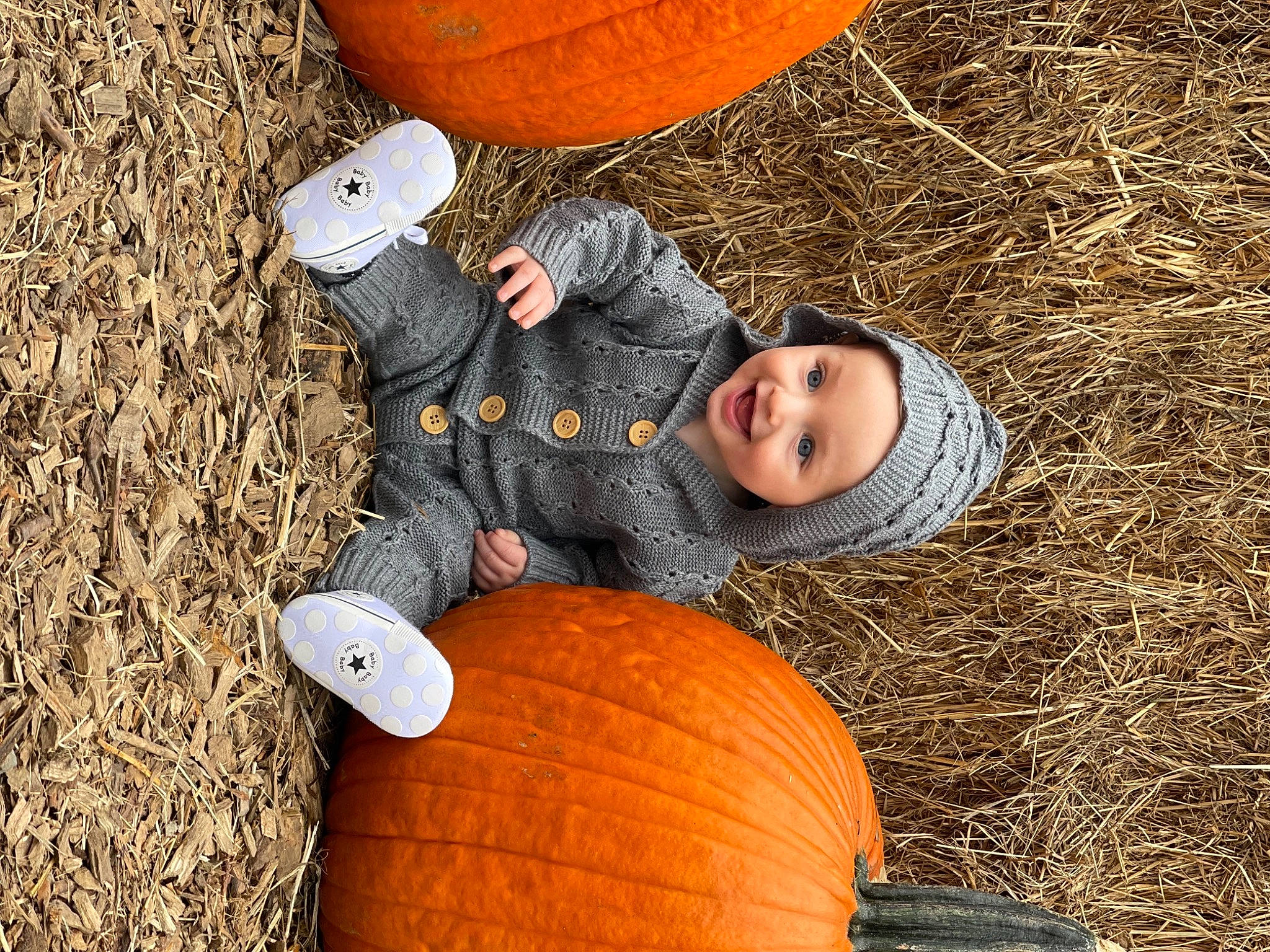 Ronnie joined the competition — help win amazing prizes! calabaza, cucurbita, eye, gourd, grass, head, headwear, leaf, natural_foods, orange, organ, people, people_in_nature, person, plant, pumpkin, smile, squash, toddler, vegetable