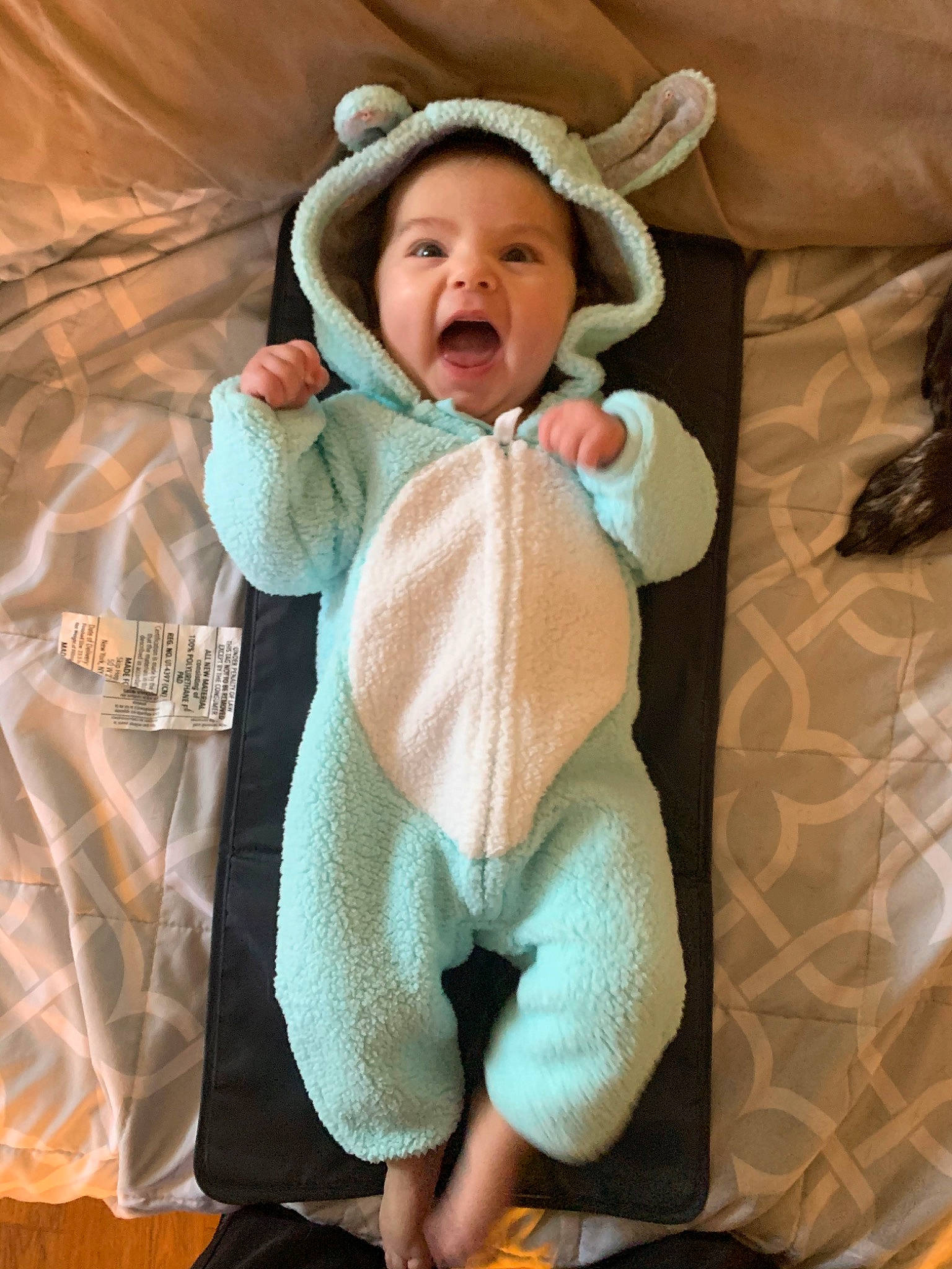 Everlee is registered to the contest to win money with this photo: baby, baby_products, child, outerwear, person, product, smile, toddler