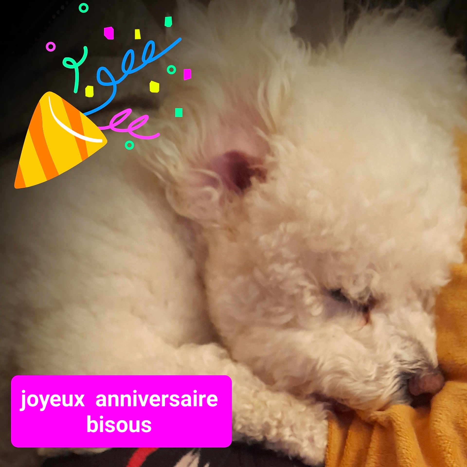 Jeffrey De La Felhotte